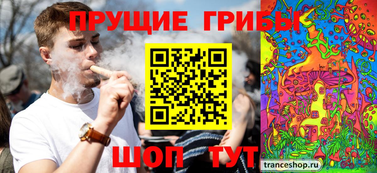 Сунжа  Псилоцибиновые грибы Magic Shrooms  Вход с VPN 